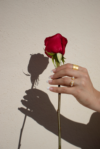 Red rose in a hand with gold rings